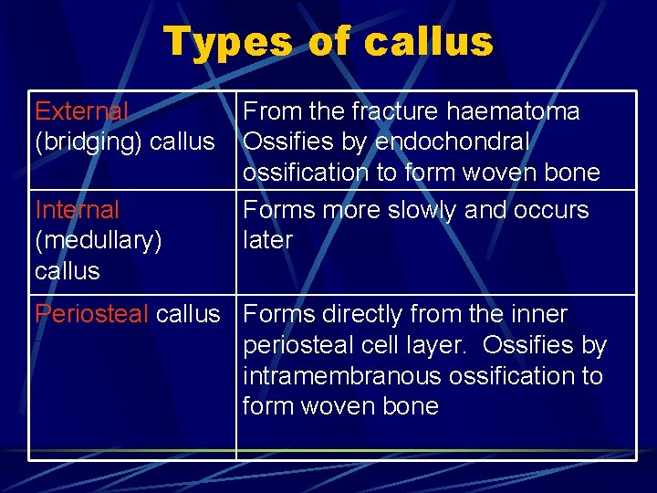 Types of callus External (bridging) callus Internal (medullary) callus From the fracture haematoma Ossifies
