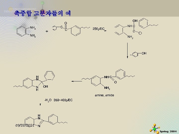 축중합 고분자들의 예 10/23/2021 Spring 2004 