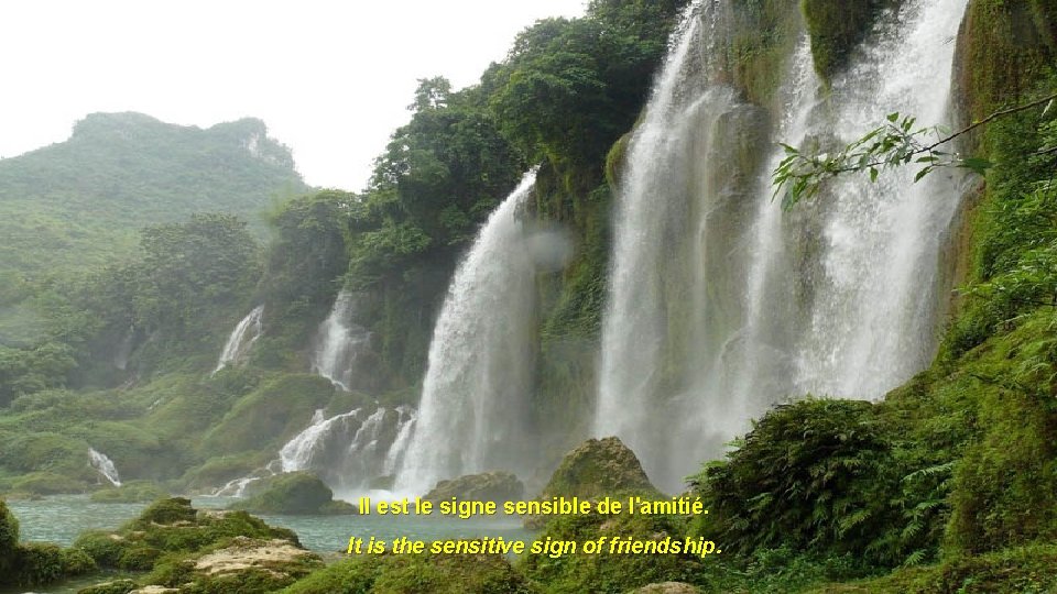 Il est le signe sensible de l'amitié. It is the sensitive sign of friendship.