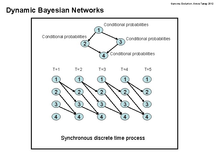 Genome Evolution. Amos Tanay 2012 Dynamic Bayesian Networks Conditional probabilities 1 Conditional probabilities 3