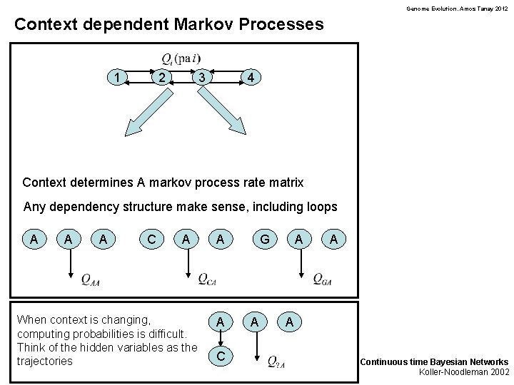 Genome Evolution. Amos Tanay 2012 Context dependent Markov Processes 1 2 3 4 Context