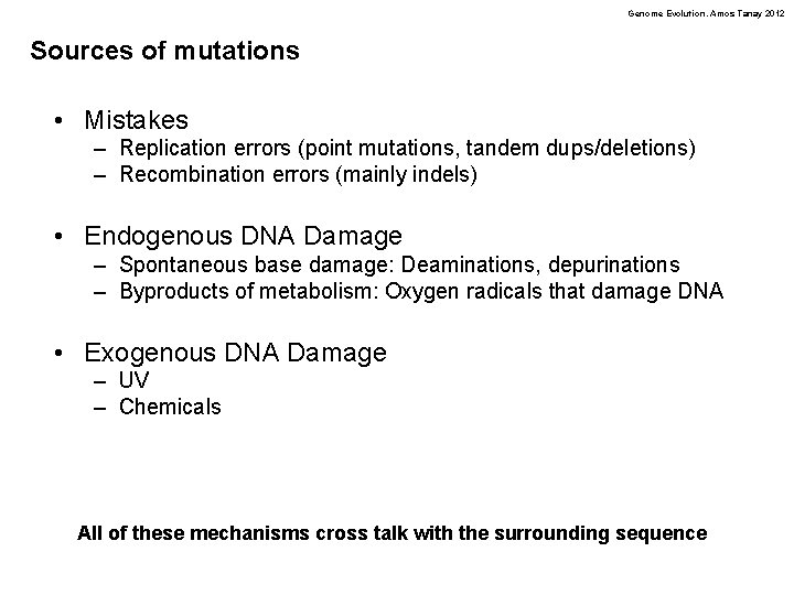 Genome Evolution. Amos Tanay 2012 Sources of mutations • Mistakes – Replication errors (point