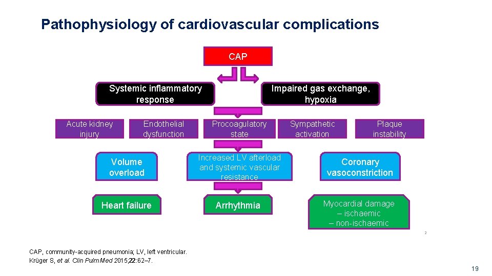 Pathophysiology of cardiovascular complications CAP Systemic inflammatory response Acute kidney injury Endothelial dysfunction Impaired