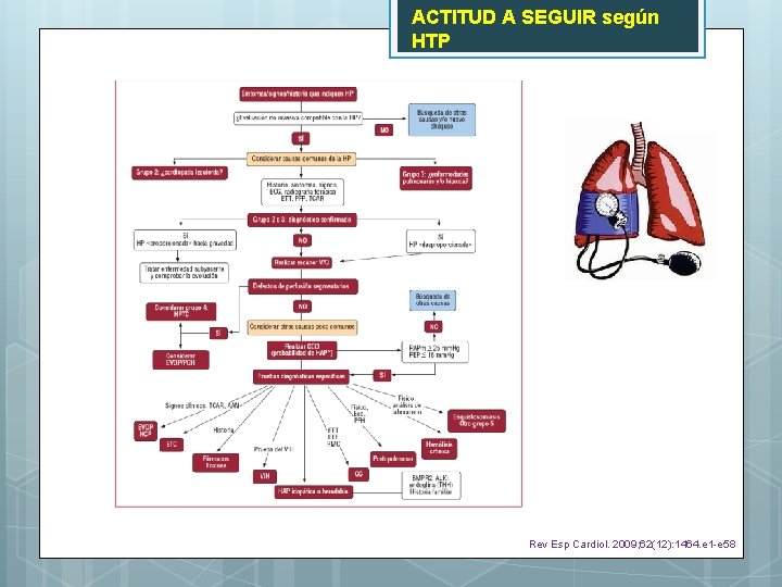 ACTITUD A SEGUIR según HTP Rev Esp Cardiol. 2009; 62(12): 1464. e 1 -e