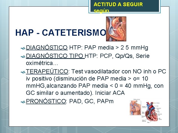 ACTITUD A SEGUIR según HAP - CATETERISMO DIAGNÓSTICO HTP: PAP media > 2 5