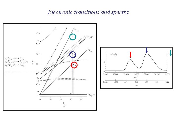 Coordination Chemistry Electronic Spectra of Metal Complexes Electronic