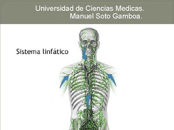 Universidad de Ciencias Medicas. Manuel Soto Gamboa. 