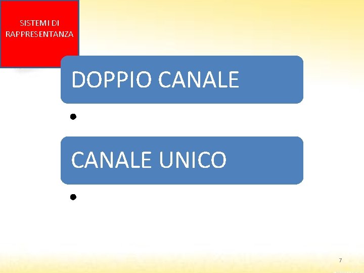 SISTEMI DI RAPPRESENTANZA DOPPIO CANALE • CANALE UNICO • 7 