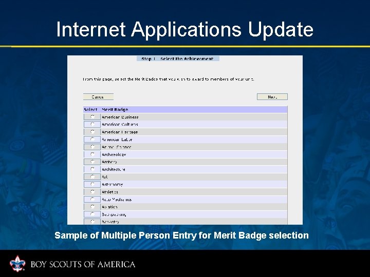 Internet Applications Update Sample of Multiple Person Entry for Merit Badge selection 