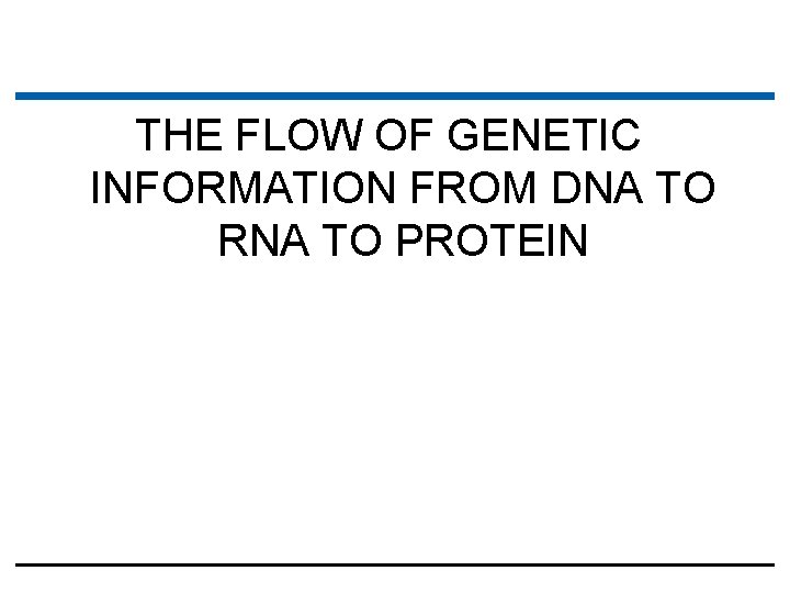 THE FLOW OF GENETIC INFORMATION FROM DNA TO RNA TO PROTEIN 