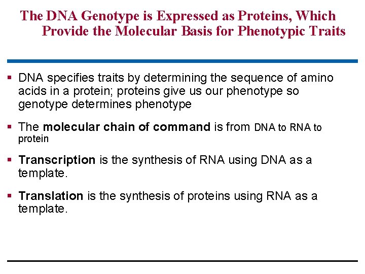 The DNA Genotype is Expressed as Proteins, Which Provide the Molecular Basis for Phenotypic