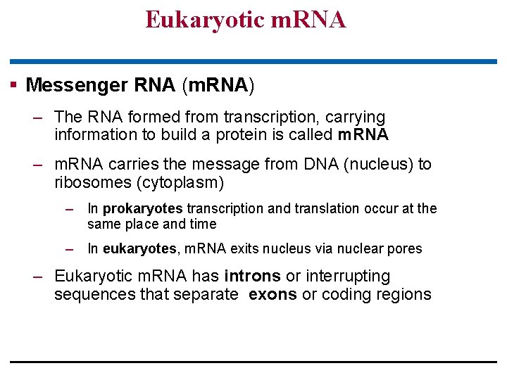 Eukaryotic m. RNA § Messenger RNA (m. RNA) – The RNA formed from transcription,