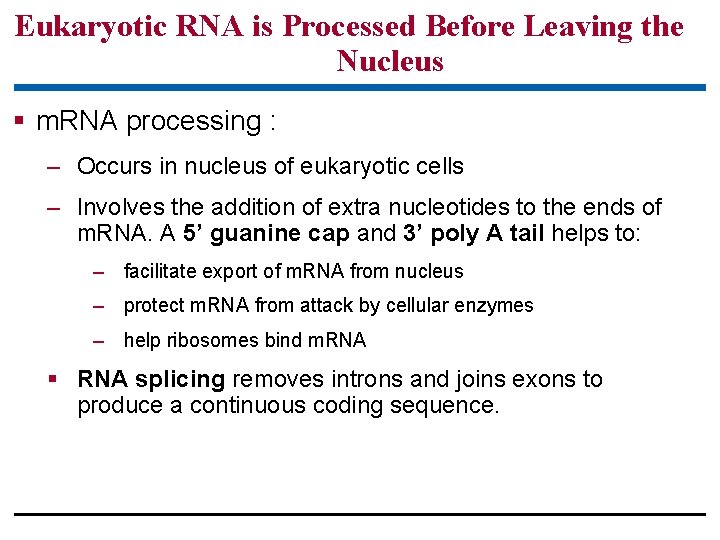 Eukaryotic RNA is Processed Before Leaving the Nucleus § m. RNA processing : –