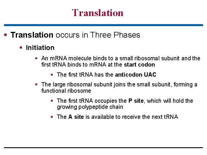 Translation § Translation occurs in Three Phases § Initiation § An m. RNA molecule