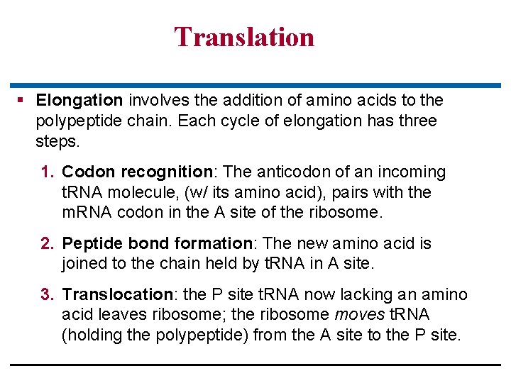 Translation § Elongation involves the addition of amino acids to the polypeptide chain. Each