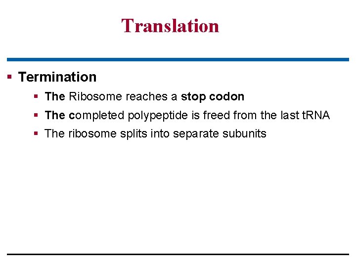 Translation § Termination § The Ribosome reaches a stop codon § The completed polypeptide