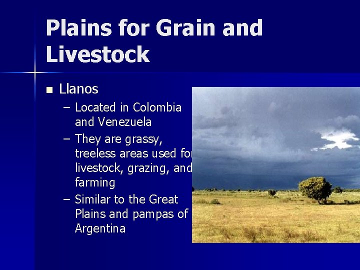 Plains for Grain and Livestock n Llanos – Located in Colombia and Venezuela –