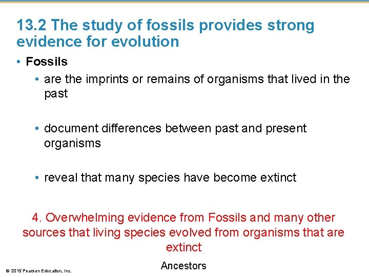 13. 2 The study of fossils provides strong evidence for evolution • Fossils •