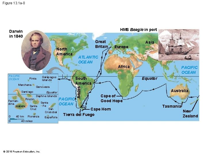 Figure 13. 1 a-0 HMS Beagle in port Darwin in 1840 North America Great