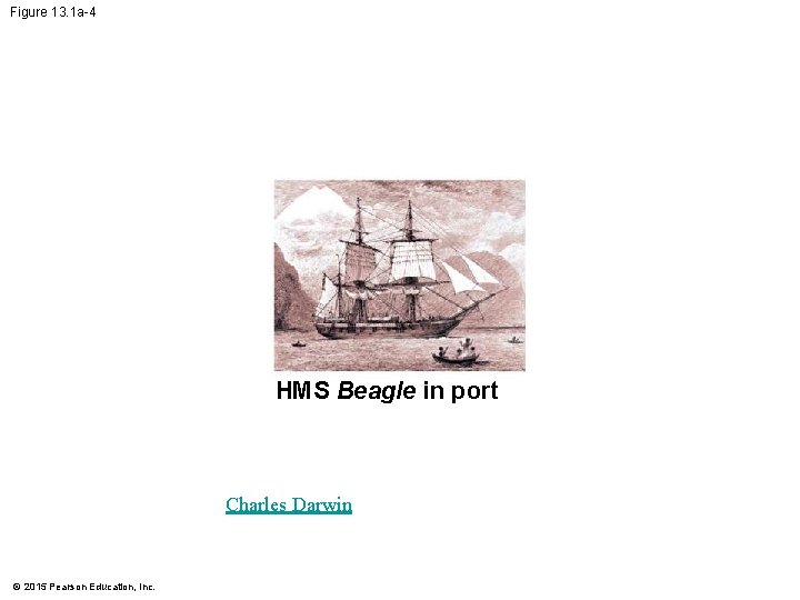 Figure 13. 1 a-4 HMS Beagle in port Charles Darwin © 2015 Pearson Education,