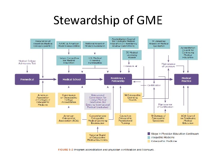 Stewardship of GME 