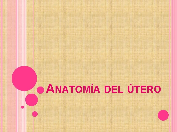 ANATOMÍA DEL ÚTERO 