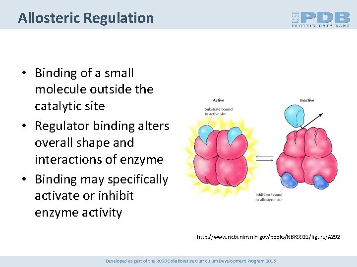 Allosteric Regulation • Binding of a small molecule outside the catalytic site • Regulator