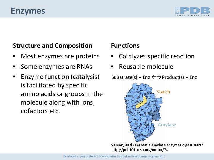 Enzymes Structure and Composition Functions • Most enzymes are proteins • Some enzymes are