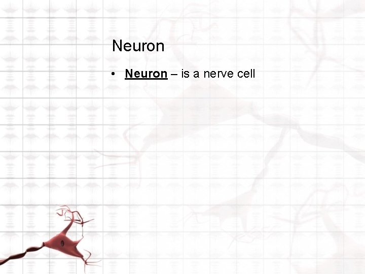 Neuron • Neuron – is a nerve cell 