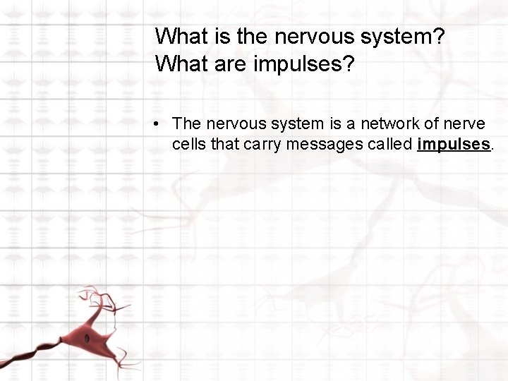 What is the nervous system? What are impulses? • The nervous system is a