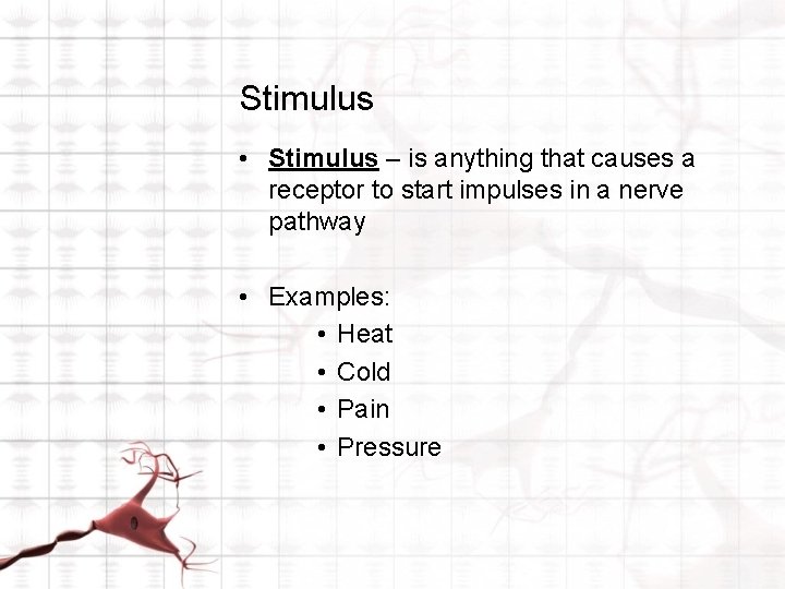 Stimulus • Stimulus – is anything that causes a receptor to start impulses in