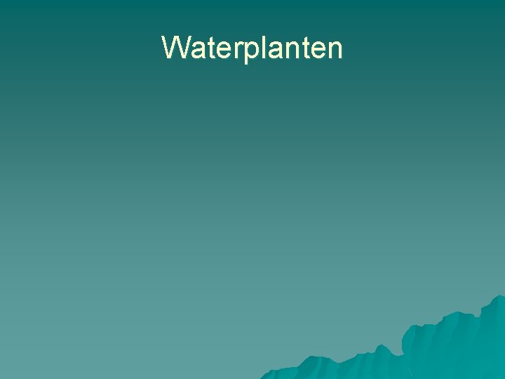Waterplanten 