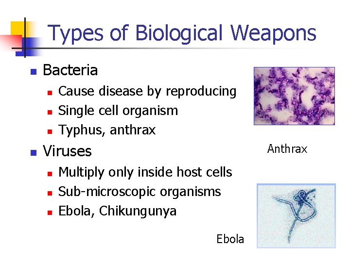 Types of Biological Weapons n Bacteria n n Cause disease by reproducing Single cell