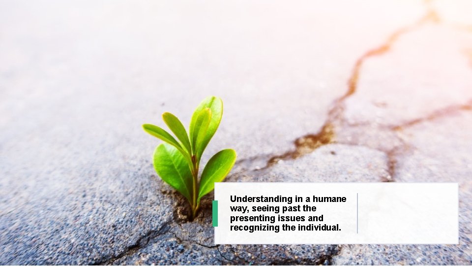 Understanding in a humane way, seeing past the presenting issues and recognizing the individual.
