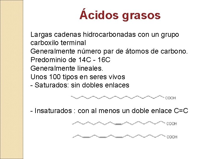 Ácidos grasos Largas cadenas hidrocarbonadas con un grupo carboxilo terminal Generalmente número par de