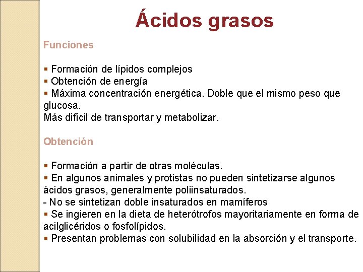 Ácidos grasos Funciones § Formación de lípidos complejos § Obtención de energía § Máxima