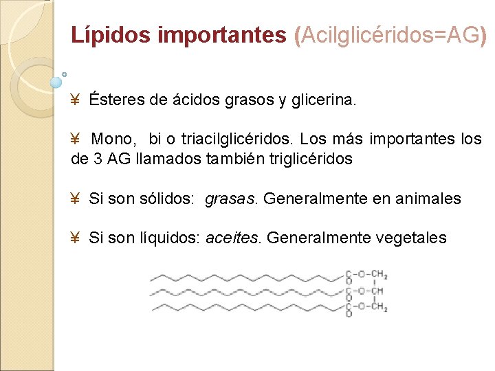 Lípidos importantes (Acilglicéridos=AG) ¥ Ésteres de ácidos grasos y glicerina. ¥ Mono, bi o