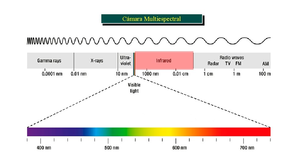 Cámara Multiespectral 