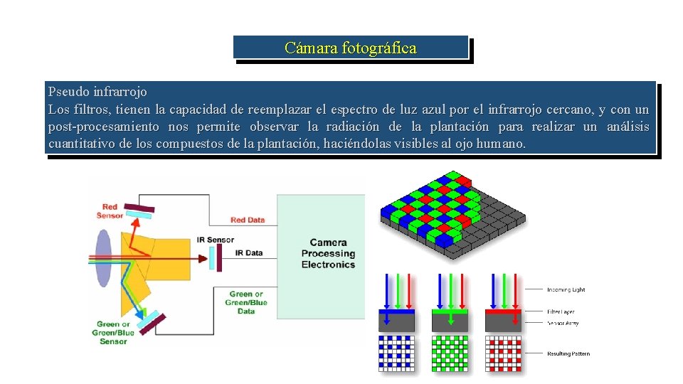 Cámara fotográfica Pseudo infrarrojo Los filtros, tienen la capacidad de reemplazar el espectro de