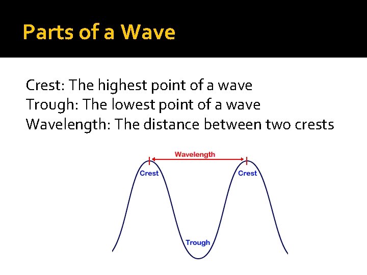 Parts of a Wave Crest: The highest point of a wave Trough: The lowest