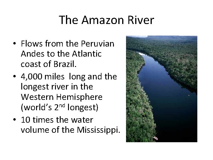 The Amazon River • Flows from the Peruvian Andes to the Atlantic coast of