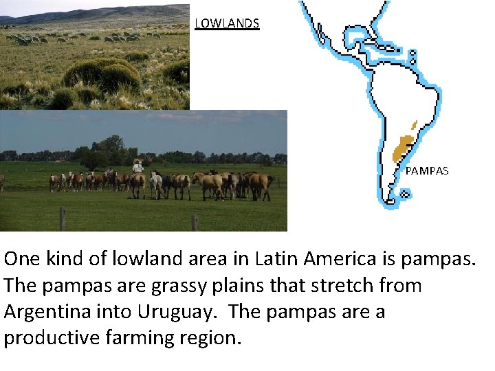 LOWLANDS PAMPAS One kind of lowland area in Latin America is pampas. The pampas