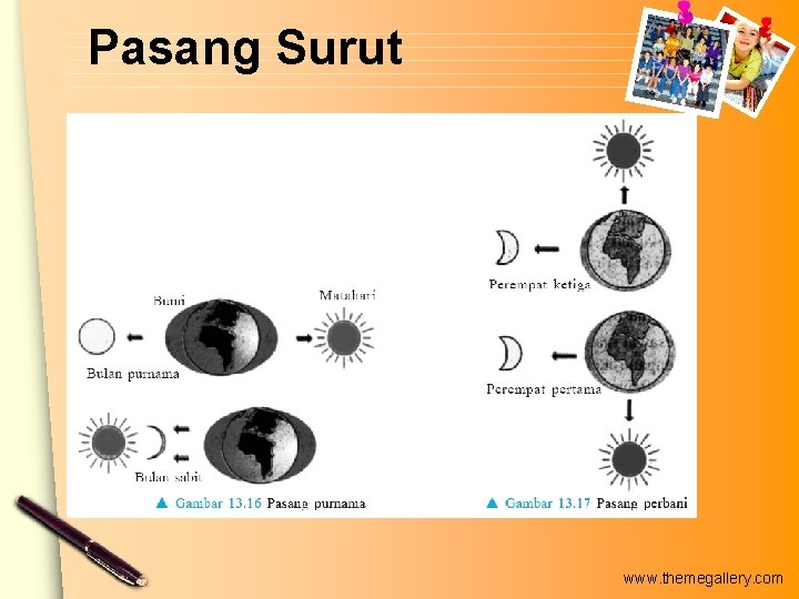 Pasang Surut www. themegallery. com 