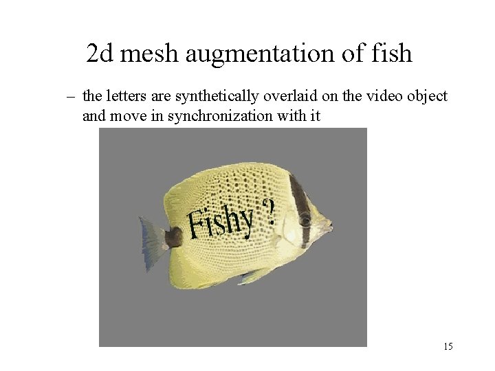 2 d mesh augmentation of fish – the letters are synthetically overlaid on the