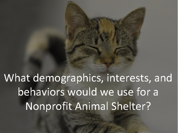 What demographics, interests, and behaviors would we use for a Nonprofit Animal Shelter? 