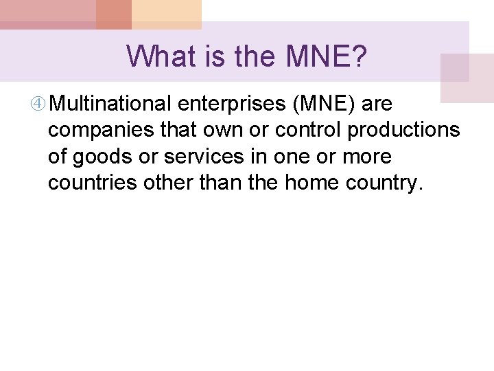What is the MNE? Multinational enterprises (MNE) are companies that own or control productions What is the MNE? Multinational enterprises (MNE) are companies that own or control productions