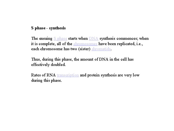 S phase - synthesis The ensuing S phase starts when DNA synthesis commences; when