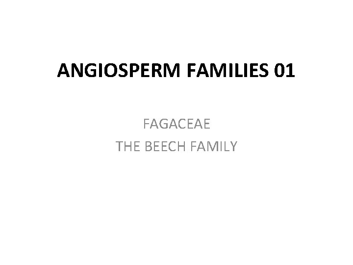 ANGIOSPERM FAMILIES 01 FAGACEAE THE BEECH FAMILY 
