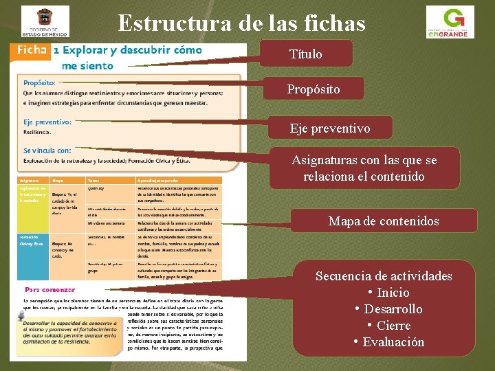 Estructura de las fichas Título Propósito Eje preventivo Asignaturas con las que se relaciona