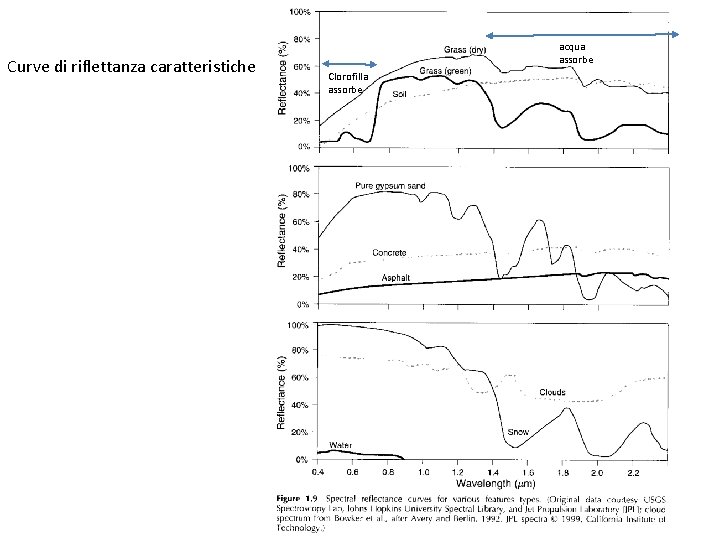 Curve di riflettanza caratteristiche acqua assorbe Clorofilla assorbe 
